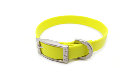 Collar para perro tipo cinto, fabricado con biothane color amarillo mate. Hebilla metálica con el logo de GAIO.