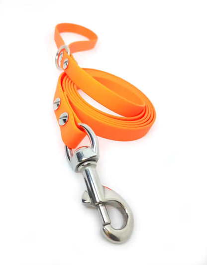 correa de paseo para perro naranja