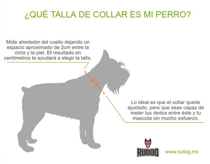 Collar Intervención