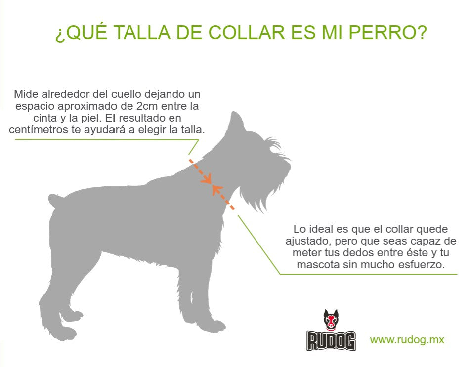 Para conocer la talla de collar de tu perro, mide alrededor del cuello dejando un espacio de 2cm entre la cinta y la piel. El resultado en centimetros te ayudará a elegir la talla.